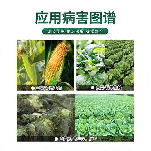 Guoguang Youlehong 8% ethyl ethyl ester coloring increases root production, promotes cell division, preserves flowers and fruits, growth regulator 8% ethyl ethyl ethyl 1000ml