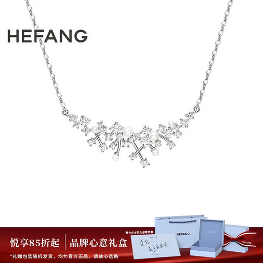 HEFANG He Fang Jewelry Brilliant Nebula Clavicle Chain Necklace Silver Ladies High-end Birthday Gift for Girlfriend