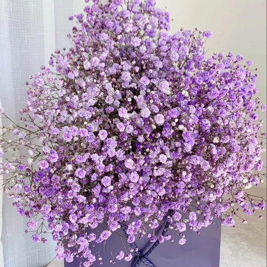 Colorful baby's breath, random color primary color, mixed color, fresh cut flowers, can be used as dried flower base, straight hair, long flowering period, purple baby's breath 100g