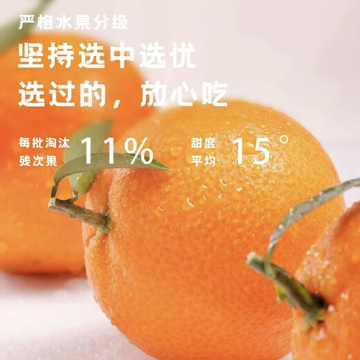 Jingmi Xiangshan Red Beauty Citrus Net Weight 4.5Jin Jin is equal to 0.5kg 12 pieces starting from 180g Ehime Jelly Orange Straight from the source