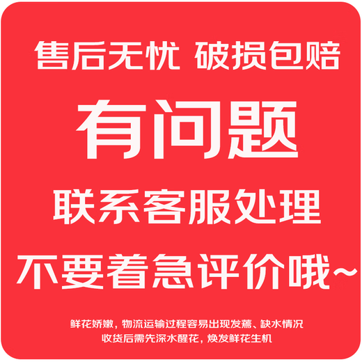 Yunnan flowers wholesale quality rose lily water-grown fresh cut flowers for your girlfriend's birthday gift straight from the source Aisha (Iron Head Princess) - 20 pieces, choose 2 pieces, no shipping fee