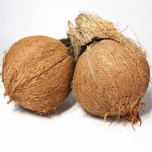 Fat Donglai's same style fresh coconut, authentic Hainan old coconut, hairy coconut, fresh seasonal fruit, green coconut, 6 packs, 1 pack
