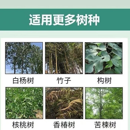 High-concentration for banyan trees in all seasons, for agricultural use on large and small trees, fast and powerful without harming the soil, 3 bottles, saving time and effort