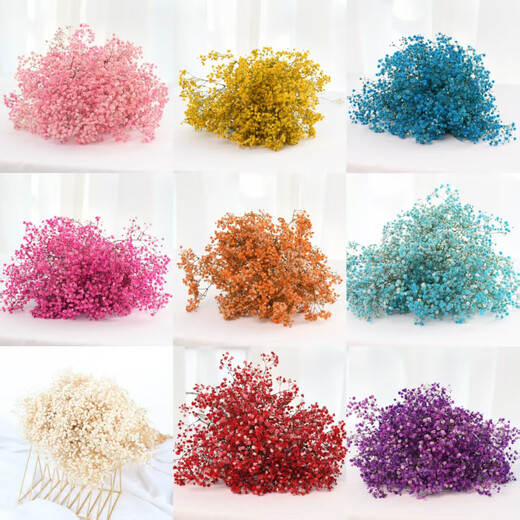 Gypsophila dried flower bouquet preserved flower material light blue