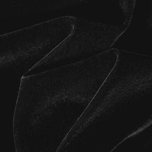 She pool V-neck single-breasted velvet shirt women's 2025 autumn new retro elegant long-sleeved shirt