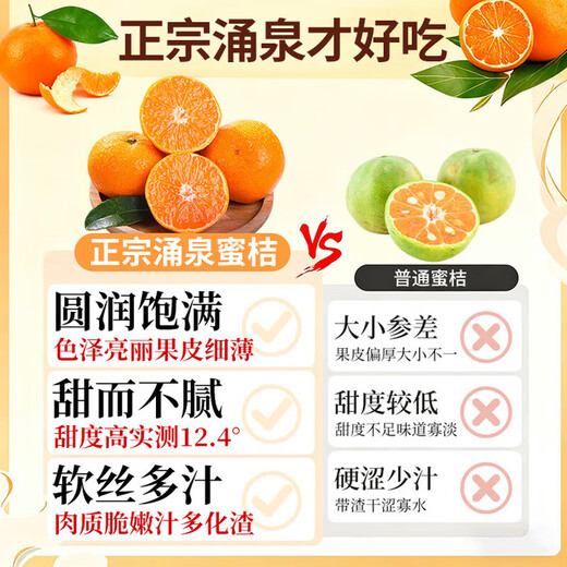 Uncle Sam's Authentic Linhai Yongquan Tangerine, Next Day Delivery to Many Places, Seedless Tangerine Orange Fruit Gift Box, Best Selling* Premium Fruit, Fruit Circumference 50-60mm, Super Sweet, Alpine Old Tree Fruit, 5 Jin Jin is equal to 0.5 kg, Gift Box, Carefully Selected by Farmers, Net 4.5