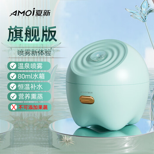 Xia Xin thermal spray facial steamer nano sprayer household facial beauty device hydrating, opening pores and fumigation flagship model - green fine spray + no fruits and vegetables