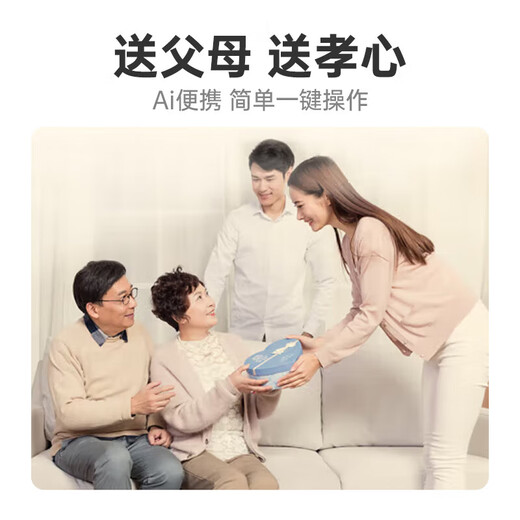 Xiaodu elderly companion machine rechargeable outdoor portable plug-in card smart FM radio elderly mobile phone voice on demand massive audio resources as gifts for parents, family and elders gray