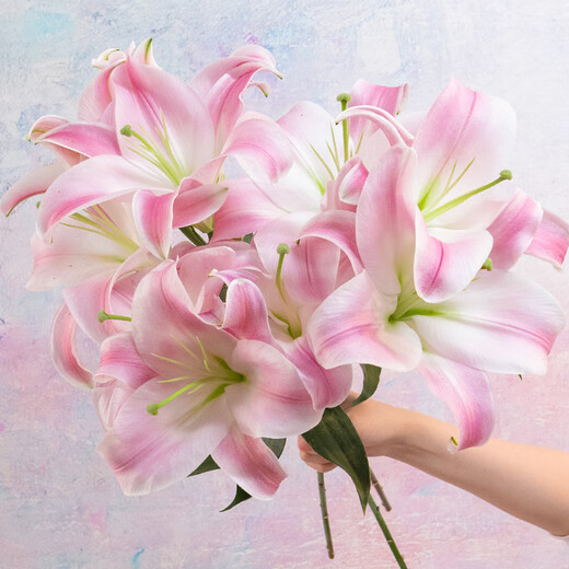 Jingdong Flowers Yunnan Kunming Flower Base Straight Hair Pink Perfume Lily 9 Family Life Flowers Straight Hair Source