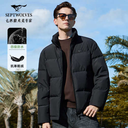 Septwolves Gänsedaunen-Graphen-Daunenjacke, Winter, Stehkragen, warme Herren-Pendler-Dickjacke, Schwarz, L