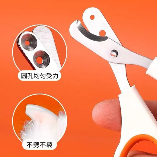 Long pet anti-cut small blind scissors cat nail clipper special pet cat small round hole novice nail clipper nail clipper small blind scissors orange and white