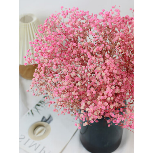 Jatu Dace Festival Dried Flowers Everlasting Gypsophila Real Flowers Home Wedding Decoration Flower Arrangement Window Soft Decoration Landscaping Dream Star Yunnan Straight Everlasting Gypsophila Light Pink About 120g