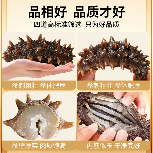 Trois dauphins, concombres de mer prêts à manger, concombres de mer de Dalian, concombres de mer frais prêts à manger, emballés individuellement, concombres de mer frais, 9-12 pièces, 500g