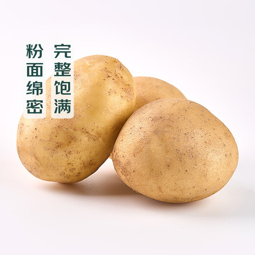 Stewed season Gansu Jinsha fried potatoes 500g