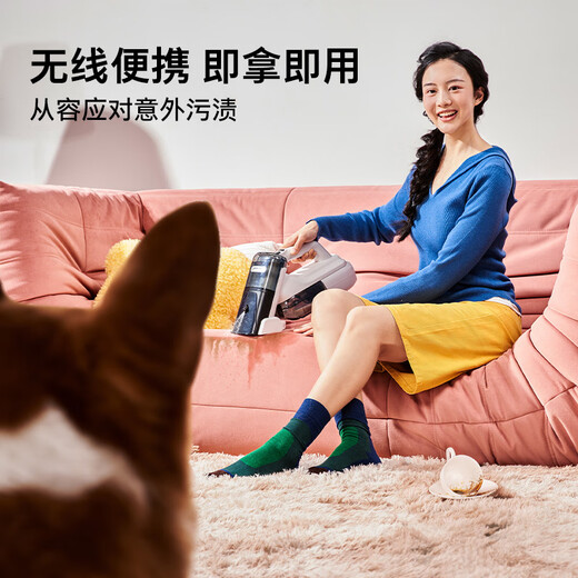 KARCHER German Kach wireless lithium battery fabric sofa multi-function cleaning machine cleaning spray extraction machine carpet desktop spray extraction all-in-one machine home SE mini wireless large suction