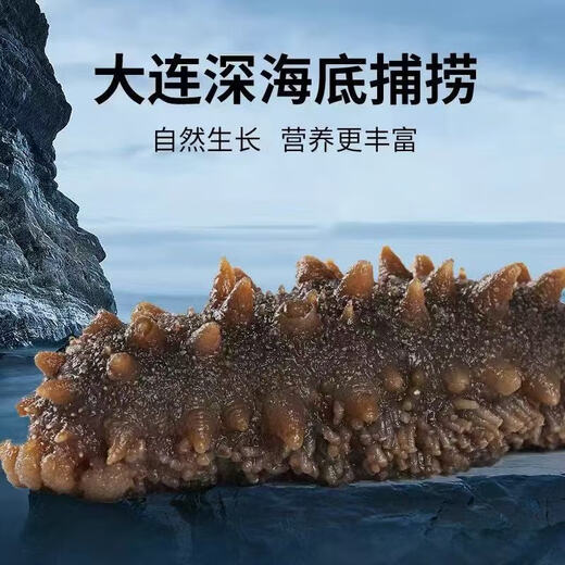 9A Dalian Liao sea cucumber fresh sea cucumber, pregnant women, edible tonic for the elderly and children, ready-to-eat sea cucumber 4-6 pieces/Jin Jin equals 0.5 kg, ready-to-eat sea cucumber 1 Jin Jin equals 0.5 kg (4-6 pieces)