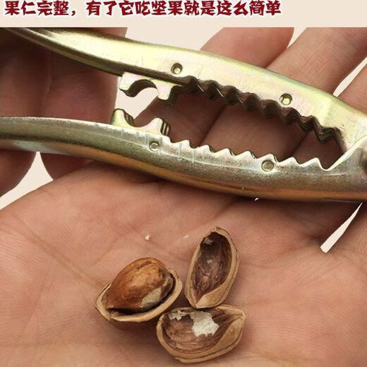Special pine nut hazelnut clamp nut pliers pine nut pecan clamp dried fruit opener pliers household nut pliers 2 thickened