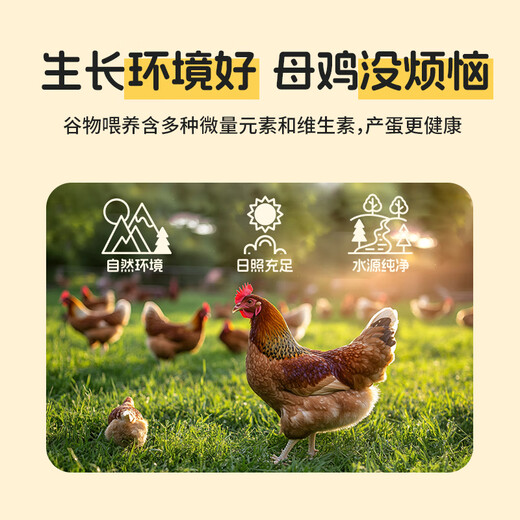 30 standard fresh eggs that can be eaten raw for fun, net weight 2.7Jin Jin is equal to 0.5kg, cereal-fed breakfast ingredients, straight from the source