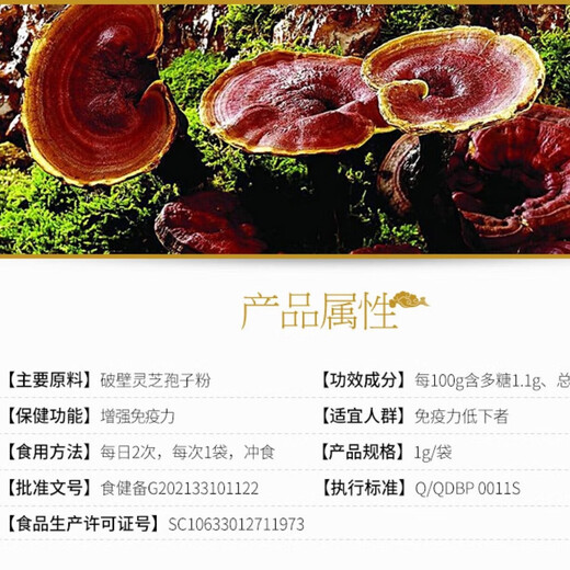 修正破壁灵芝孢子粉 增强免疫力60袋 【2盒装】修正孢子粉共120袋