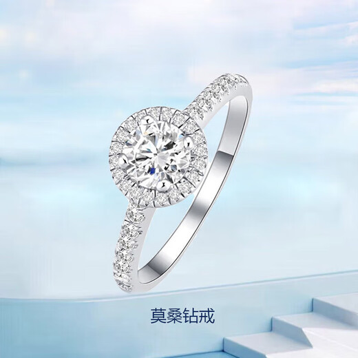 DR Diamond Ring Princess Round Bag Moissanite Electroplated Platinum Ring Female Proposal Wedding Birthday Valentine's Day Gift Princess Round Bag-1 Carat Live/Closed