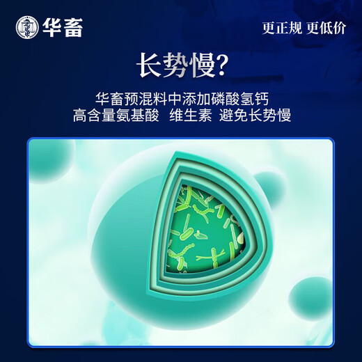 Huazhu 4 beef cattle feed, meat and sheep premix, fattening sheep feed, cattle fattening feed, cattle and sheep feed additives, 1 bag of skeleton 40Jin, Jin is equal to 0.5kg