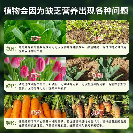 At the time when the flowers are blooming, urea fertilizer is a special fertilizer for vegetables, a compound fertilizer for vegetables, agricultural vegetables, orchards, and a universal compound fertilizer for flowers. 1 barrel of urea high-yield fertilizer