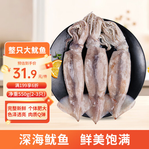 Mega fresh frozen whole large squid (2-3 pieces) net weight 550g whole squid deep sea fishing