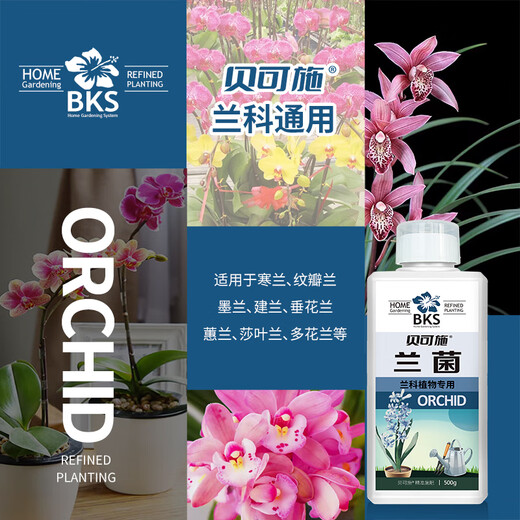 Bekshi orchid special nutrient solution for universal hydroponic nutrition to promote rapid flowering orchid exclusive square bottle orchid 500g/bottle