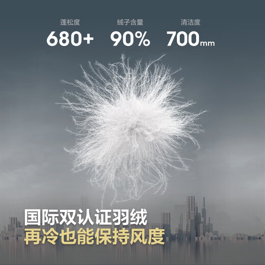 Bosideng 25 Years Winter Down Jacket Men's Slim Short Casual Thickened Stand Collar Casual Versatile Comfortable Jacket