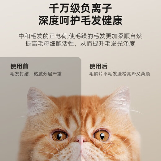 Bikabee Secador inteligente para mascotas Gato Caja de secado para perros totalmente automática Perro silencioso Hogar Gato Bolsa para soplar el pelo Secador de pelo Artefacto S5 Tapa naranja dulce con 64L Desinfección con oxígeno UV + iones negativos