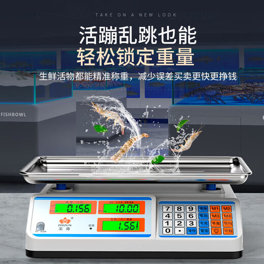 ZHIZUN electronic scale for business, small 30kg accurate electronic scale for selling vegetables and stalls, weighing food and fruit, kitchen scale, pricing scale, enlarged concave plate + upgraded high battery life 30kg5g