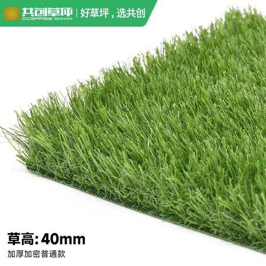 Co-Create Lawn Artificial Turf Courtyard Kindergarten Golf Simulated Turf Garden Gym School Rooftop Fake Lawn Villa 40mm Thickened Encrypted Ordinary Style (Spring Grass)