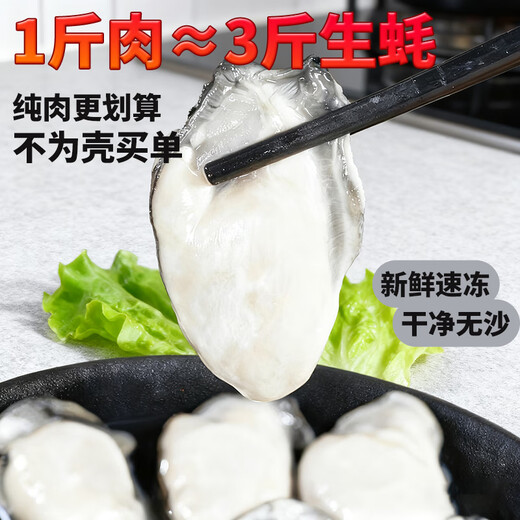 Zibaishang frozen oyster meat, fresh hand-peeled oyster meat, sea oysters, hot pot ingredients, fresh seafood, no processing, large quick-frozen oyster meat, net weight 2Jin Jin is equal to 0.5 kg