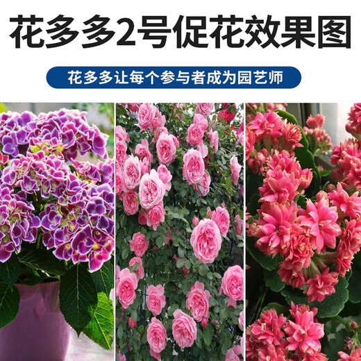 Huaduoduo No. 1 No. 2 No. 10 No. 1 No. 2 No. 12 No. 15 original imported fertilizer water-soluble fertilizer No. 1 500g + No. 2 500g free 1 liter measuring cup