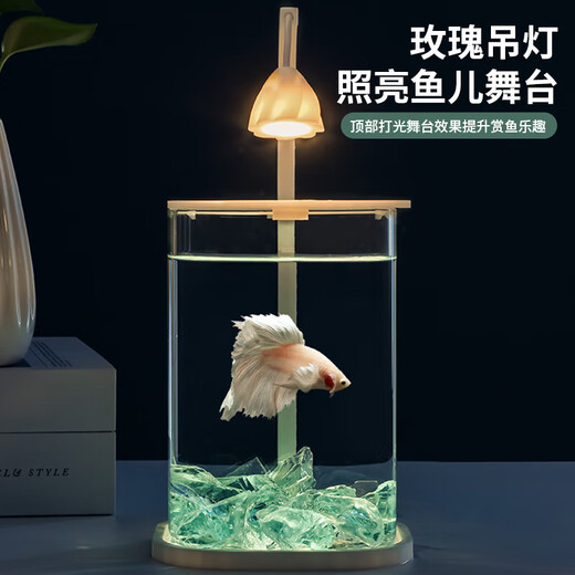 Round household transparent small fish tank desktop 4K ultra-clear desktop fish tank decoration ornamental one-piece desktop ecological aquarium turtle tank goldfish tank blue diamond pearl coral package