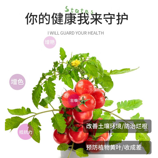 Special fertilizer for tomatoes, organic fertilizer for tomatoes, organic fertilizer for potted vegetables, agricultural vegetables, cherry tomatoes compound fertilizer, 100 packs (individually packaged) - with trial pack