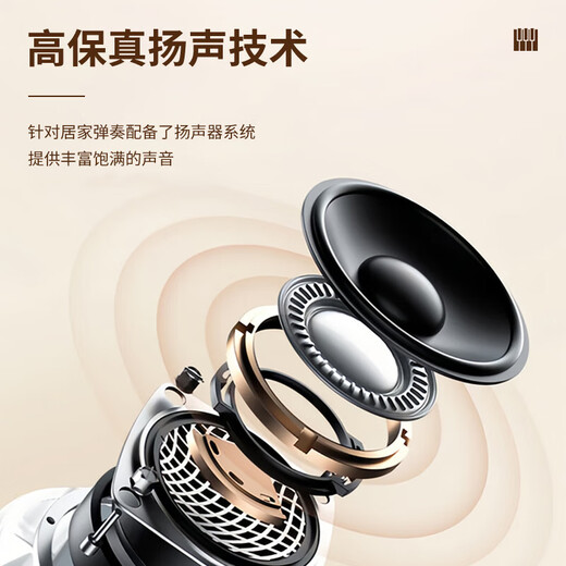 Kyomon Children's Piano Toys Wooden Electronics 1-3-6-10 Years Old Boys and Girls 4 Babies Infants Children Birthday Gifts 2 Top Matching 37 Keys + Stool + Microphone + Lepu + Piano Stickers Both roll quality and sound quality