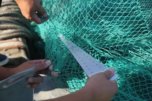 Marine fishing net mesh measuring instrument fishing net mesh measuring ruler mesh inspection ruler fishery inspection ruler