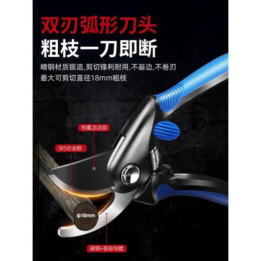 Dongcheng pruning scissors, garden flower pruning branch scissors, fruit tree scissors, thick flower scissors, gardening scissors tools, SK5 Teflon blade 8-inch pruning shears + hand saw