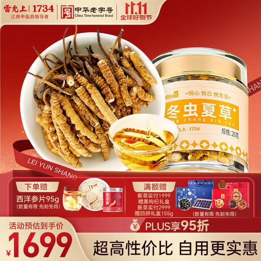 Lei Yun Shang Duan Cao 20g Cordyceps Sinensis Dried Goods Full of Insects Family Affordable Nutritional Gift for the Elderly