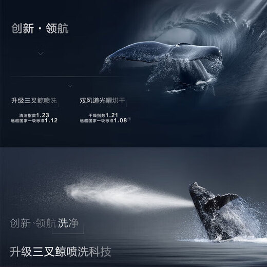 ROBAM босс Robam/boss W76S1L/H901/B500/H600/S2/WB735/WB736/посудомоечная машина WB721 автономная та же модель