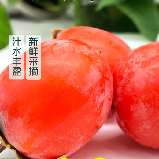 Explosive pearl honey pot sweet persimmon 600g