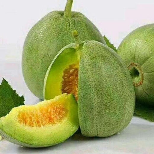 Emerald melon seeds, thin-skinned, super-sweet cantaloupe seeds, spring green-skinned, crispy melons for all seasons, early-maturing, high-yielding cantaloupe seeds, emerald melon seeds/pack, about 100 pieces, 5 packs