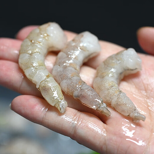 Xianjingcai shrimps without water retaining agent, net weight 2Jin Jin is equal to 0.5kg, 156-198 pieces