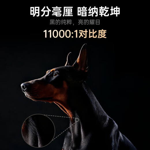 Nut Projection N5 Ultra Max 4K Ultra HD Three-Color Laser Pan-Tilt Projector Zoom Automatic Tilt-Shift Home Smart HD Home Theater Projector Nut N5 Ultra Max 5000CVIA