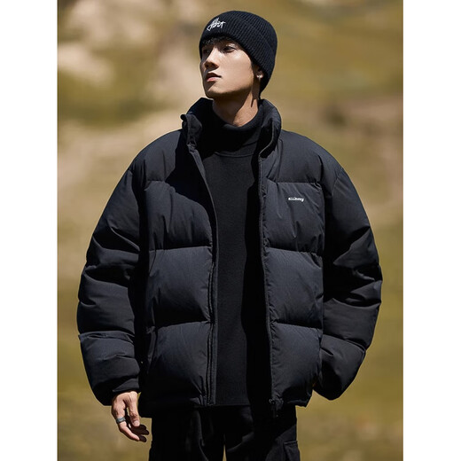 YISHion 2025 Autumn and Winter New Short Down Jacket Men's American Stand Collar Thickened Warm Bread Jacket Japanese Boys Jacket GY7185 Silver Fish White 2XL Down Filling 253.8g