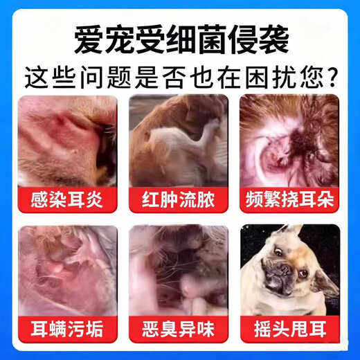 Erfuling Cat Ear Mite Ear Drops Pet Ear Anti-Inflammation, Anti-Itching and Ear Mite Ear Cleansing Liquid, Boric Acid Borneol Spray, One Box