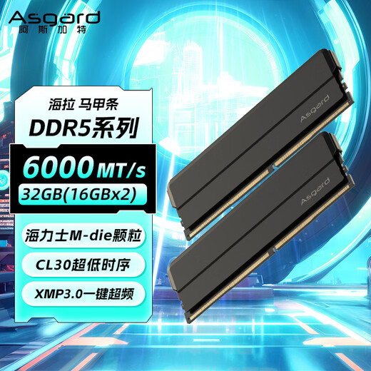 Asgard (Asgard) 32GB (16GBx2) DDR5 6000 desktop memory Hella Vest strip Hynix M-die particles CL30 Extreme Night Black
