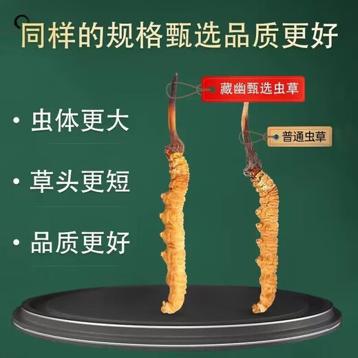 Zangyou genuine high-altitude Cordyceps sinensis gift box tonic cordyceps high-end gifts for parents and elders in the new year crystal tube thin branch 4 pieces/g-30 pieces gift recommendation