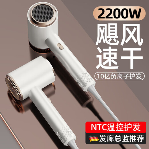 New high-speed silent negative ion hair dryer personal protective appliance strong wind hair dryer for hair salon, hotel and dormitory 311 high-speed motor gray 2200W